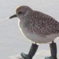 shx's ort occount (@ashxmes) 's Twitter Profile