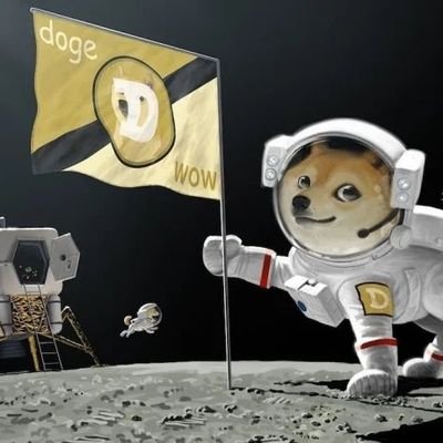 Santo81922649's profile picture. doge