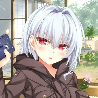 ノエル＠アイリス様の忠実な執事さんのプロフィール画像
