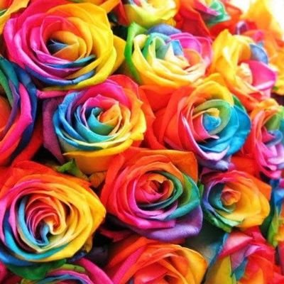 vOMaqoP3DdITD1t's profile picture. 中途半端な制作意欲を持て余した、自称技術者です。