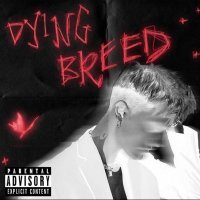 President (@mikeyymfanclub) 's Twitter Profile