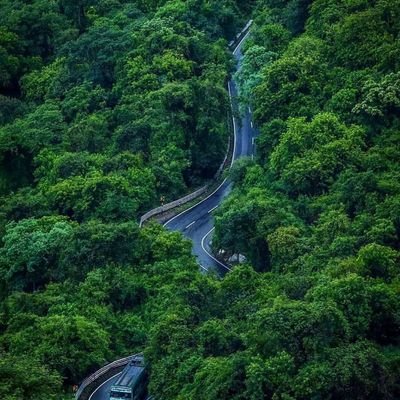 unsung99hero's profile picture. 