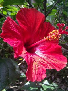 relohawaii's profile picture. Specializing in residential real estate & relocation within and outside of Hawaii, and across the United States.