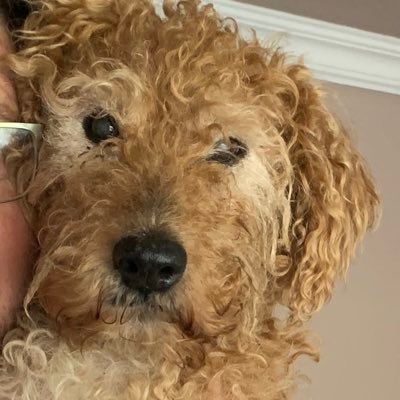 🏴 I’m bored with all of the nonsense now. I’m politically homeless. I will not be tested, vaxxed or manipulated🏴