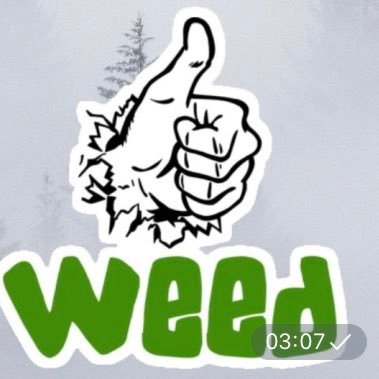 GoodWeed👍🏻さんのプロフィール画像