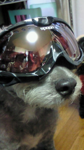 mottyan0406's profile picture. アカウント変更！