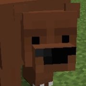 Bear (@bear2k2) 's Twitter Profile