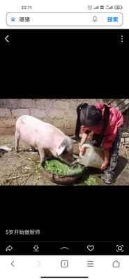 iswi4KpKNcFsfBZ's profile picture. 字母   sp kb