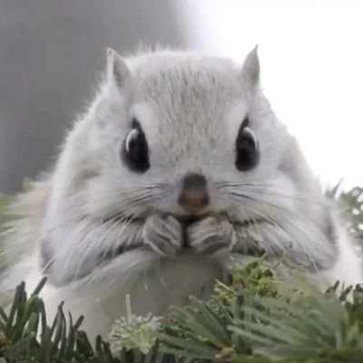 KN2さんのプロフィール画像