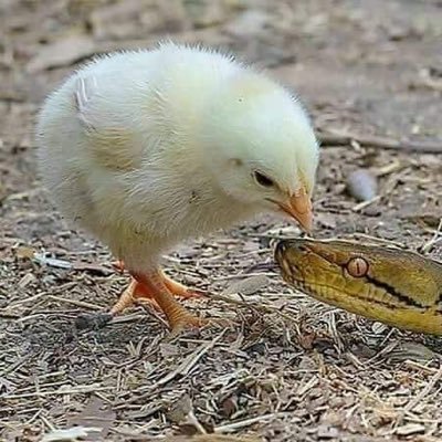 Prakash05819842's profile picture. Online Marketer/ Entrepreneur