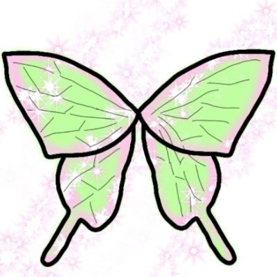 蝶羽 Fly Bear Wing Twitter 蝶羽 Fly Bear Wing Twitter