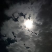 ARCANA (@arcana_484) Twitter profile photo
