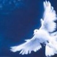 Bahou Fadma (@bahfa) 's Twitter Profile