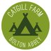 Catgill Farm (@CatgillCampsite) Twitter profile photo