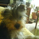 Mª Carmen Francés - @MarFrances2 - Twitter