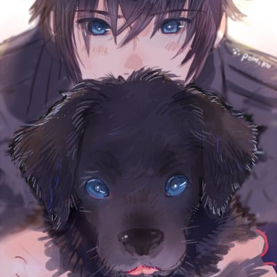 Dulli12340985's profile picture. SIEMA