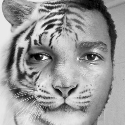 MichelNzima's profile picture. 'I will either find a way or make one'