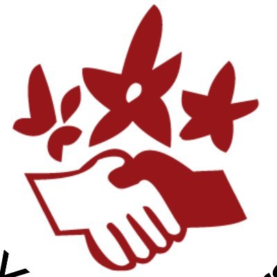 IYNForg's profile picture. IYNF is an international network associating Young Naturefriends and their youth organisations across all Europe since 1975.