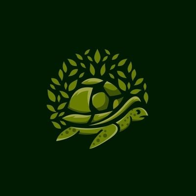 Youtube: Spiritual Turtle 
Other Channel: Isopsephy 

Spiritual aware turtle 🐢
Nature 🌿🌞🕉