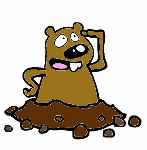 marmotabite's profile picture. Soy roedor y meteorólogo.