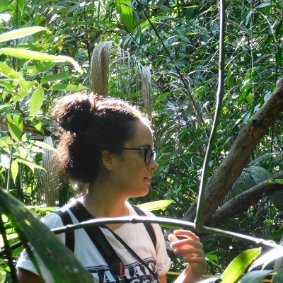 Plant ecologist at Osa Conservation working for the conservation and restoration of southern Costa Rica.