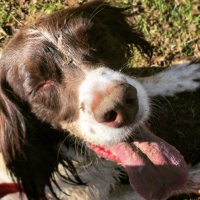 Jess (@theinsideoutmum) 's Twitter Profile