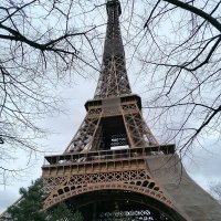 Fabienne T (@fabiennet7) 's Twitter Profile
