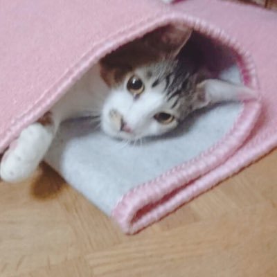 𝕆𝕄𝕀さんのプロフィール画像