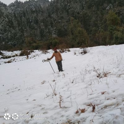 राष्ट्रिय युवा सघं वझाङ्ग जिल्ला कमिटी सह संयोजक
मानव समयको दास हो तेसैले
समय र परिस्थिति बस परिवर्तन हुन जरुरी छ 🇳🇵🇳🇵