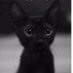 @🐝LovesAnimals (@lovesanimals18) Twitter profile photo @🐝LovesAnimals (@lovesanimals18) Twitter profile photo
