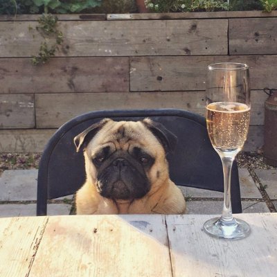 lama__drama's profile picture. Ну как то так

Со многими #взаимно отписка тоже)