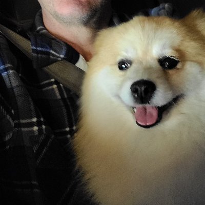 cwils1's profile picture. Christ is King ✝️