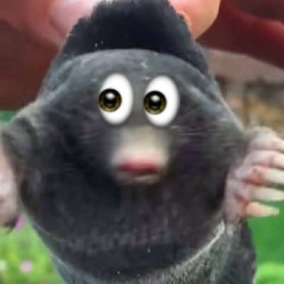 🐽🐽さんのプロフィール画像