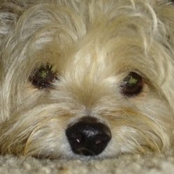 twits5_0's profile picture. YOU are a CHILD of the UNIVERSE. Be at PEACE with GOD, whatever you conceive Him to be, & with your SOUL. LOVE. BE CAREFUL with NO FEAR. STRIVE TO BE HAPPY!