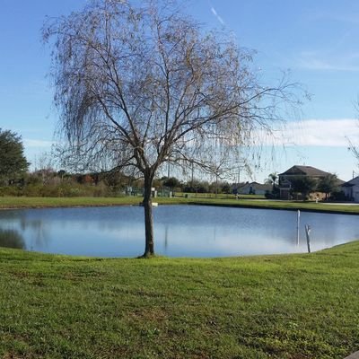 FredHam71753742's profile picture. big fan of the NFL WASHINGTON COMMANDERS