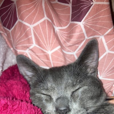 mgzmtutu5's profile picture. 