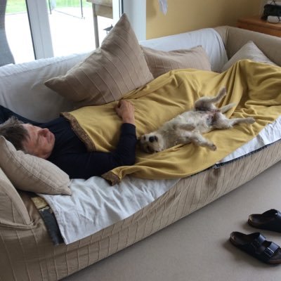 lunatic00616841's profile picture. Habe noch nie in meinem Leben etwas getan, nur weil es die Anderen tun.