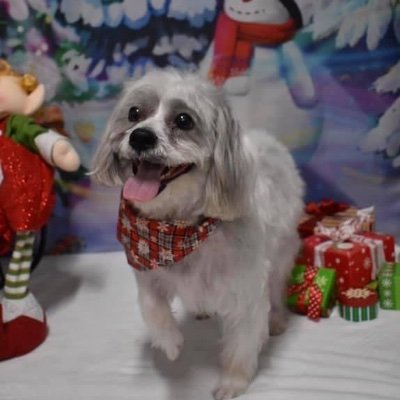 NFloder's profile picture. She/Her
All positivity accepted, negativity denied!