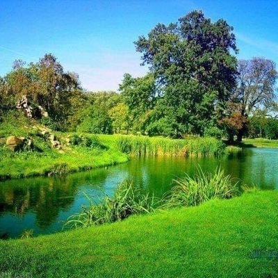الفرح لحظة والرضا حياة