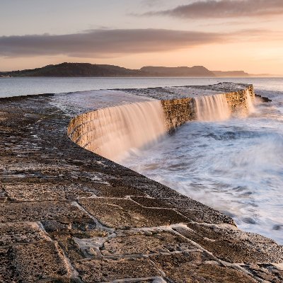 ianeden277's profile picture. 