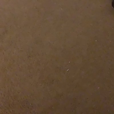 David81502228's profile picture. 