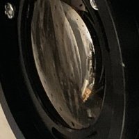 Kner Lab (@knerlab) 's Twitter Profile Photo