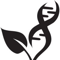 AMPSS (@msu_ampss) 's Twitter Profile