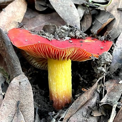 anonimo72564938's profile picture. Nature. Art. Code. Crypto. 
#NFT ART FOR SALE https://t.co/0RxqPIyMsH
#Crypto. #Nature. #Art. #Code.