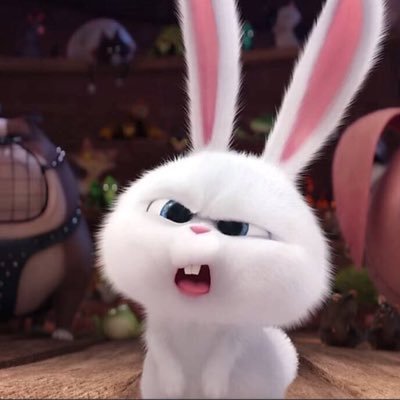 gaysdaysmn's profile picture. 