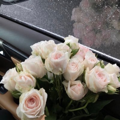 smdx20's profile picture. psychology teacher 👩‍🏫 ❤️