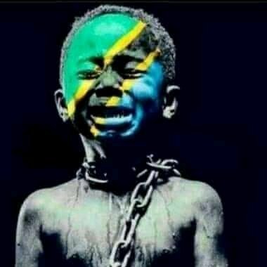 haruni97's profile picture. in progress to my destiny