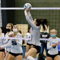 Renee (@reneebrines) 's Twitter Profile