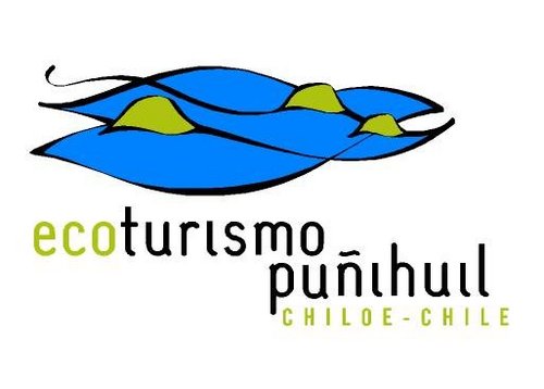 Ofrecemos Tours por las Pinguineras y avistamiento de fauna marina de altamar. en #puñihuil #chiloe