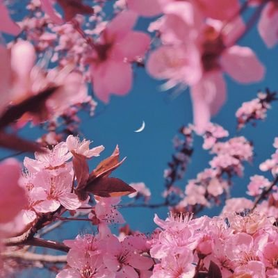 Noaさんのプロフィール画像